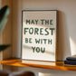 May The Forest Be With You